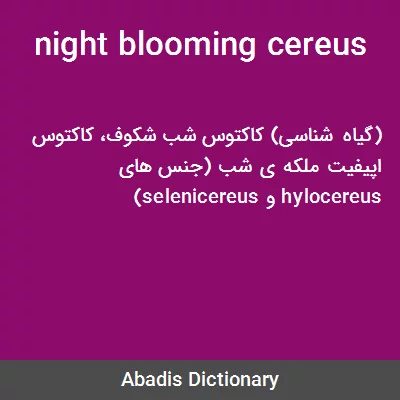 معنی night blooming cereus